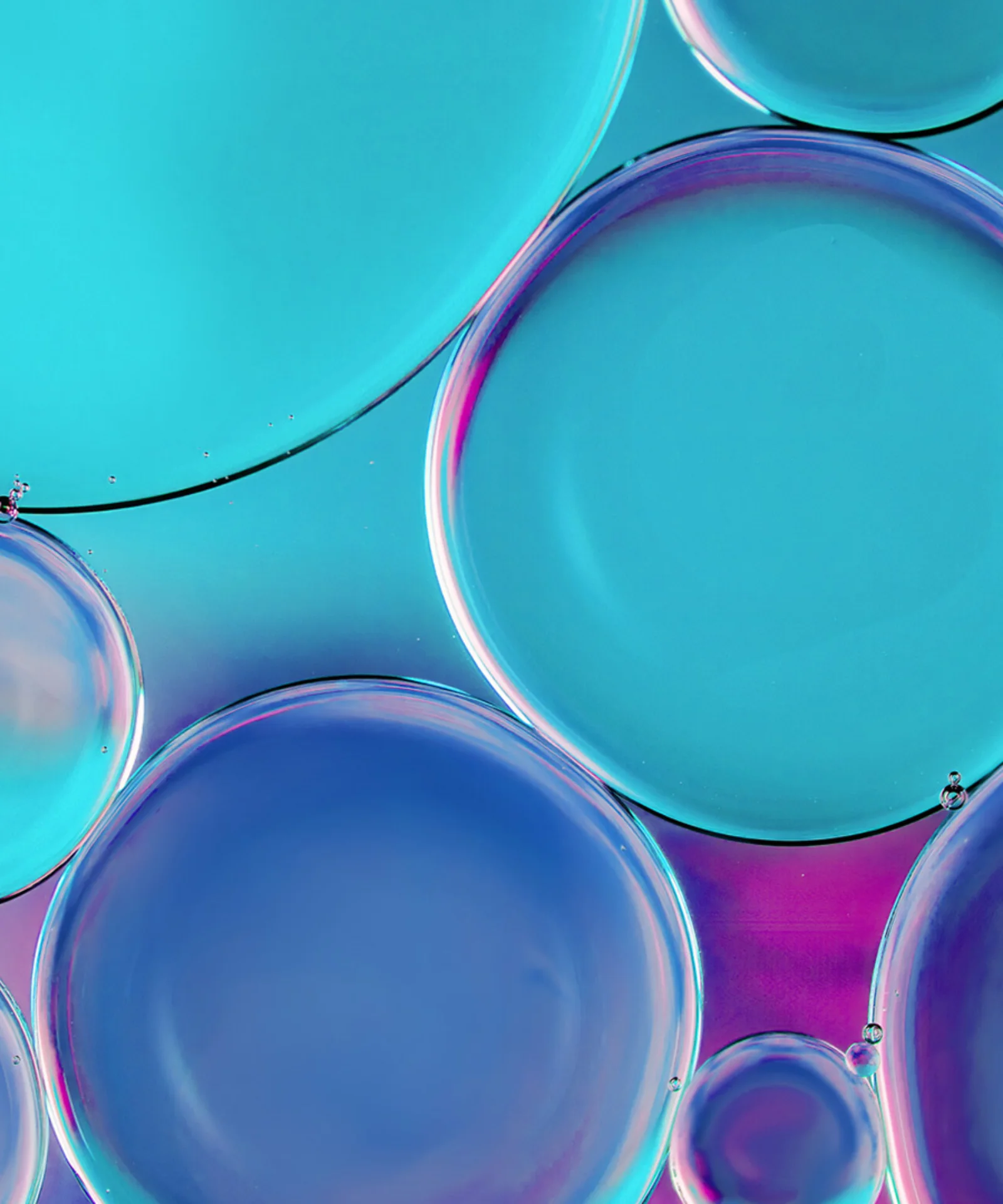 Abstract image of various-sized blue and purple bubbles overlapping each other