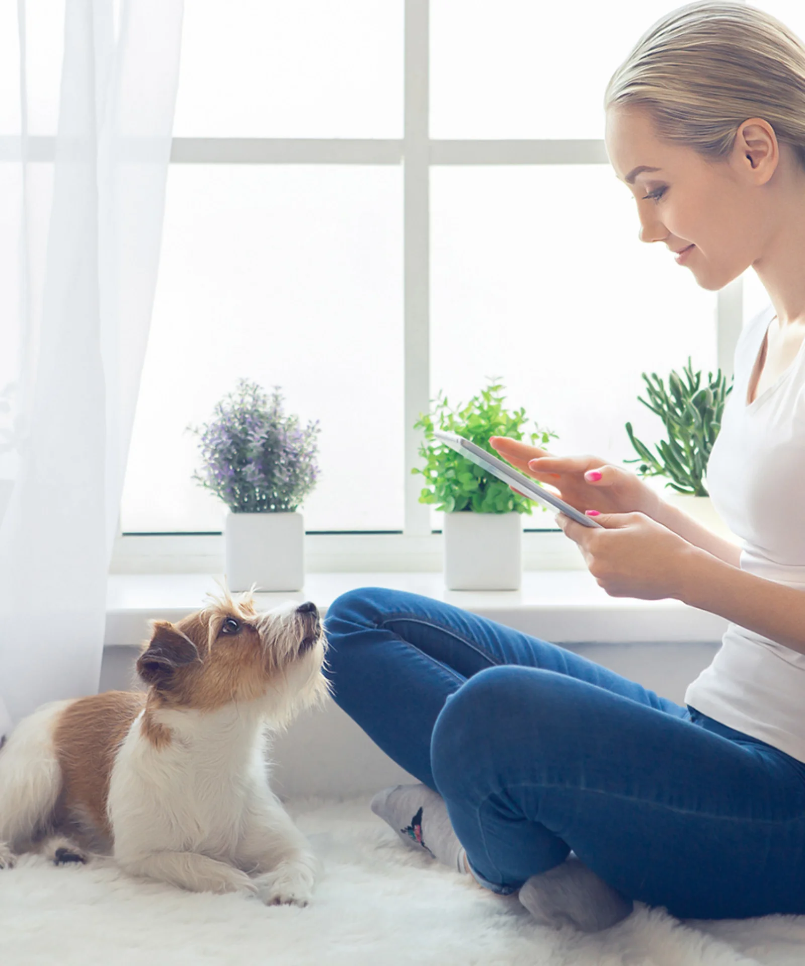 A woman sitting by a window using a tablet, with a dog beside her, representing the modernisation of core insurance platforms for enhanced user experience.