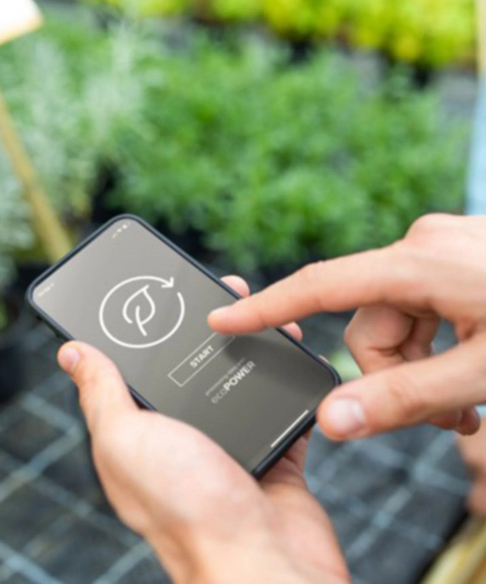 Hands interacting with a smartphone displaying a green task scheduling app, with a blurred background of a greenhouse.