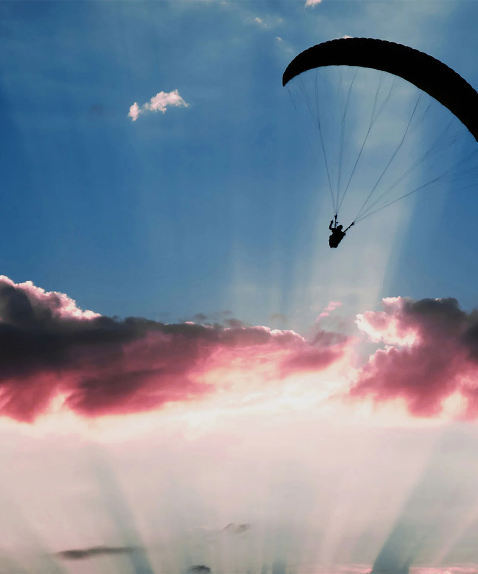 A silhouette of a paraglider soaring against a stunning sunset sky, symbolising the freedom, scalability, and innovation offered by cloud computing.