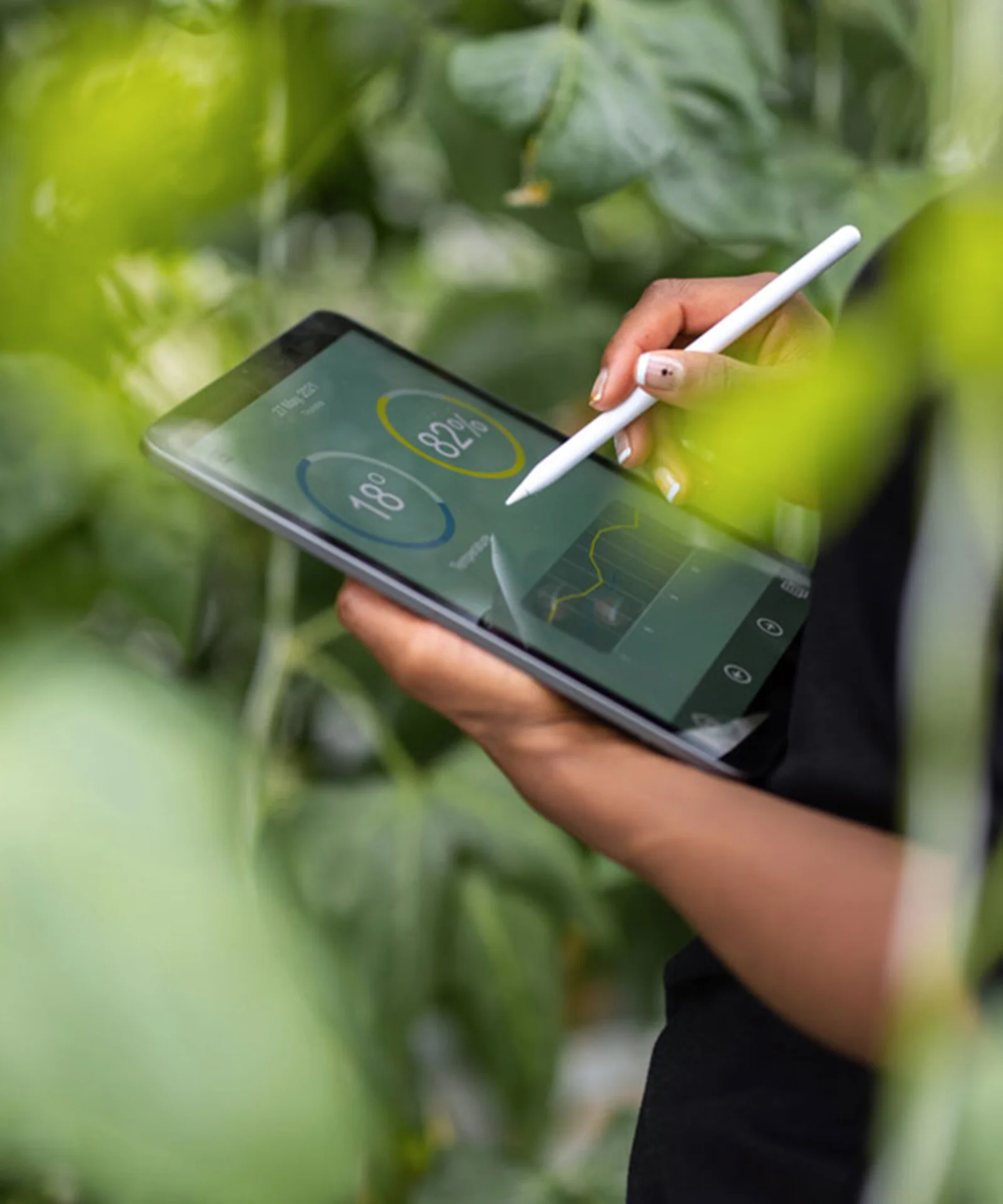 A person using a tablet to monitor environmental metrics in a lush agricultural setting, representing ESG performance