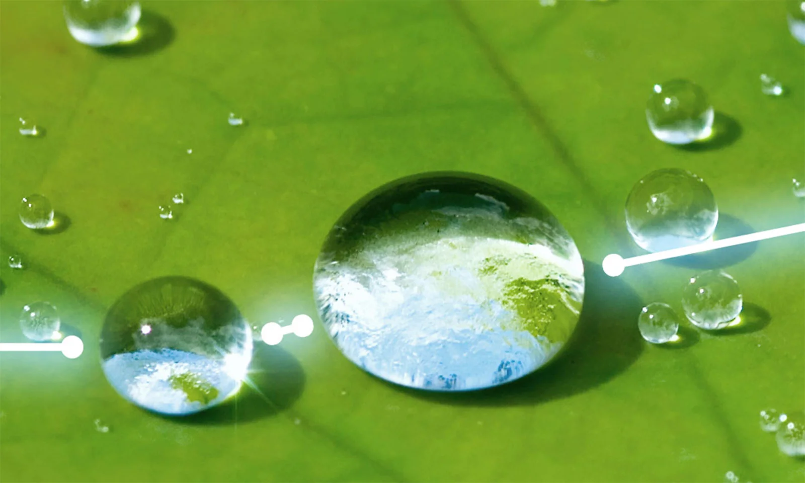 Close-up of water droplets on a green leaf, with one droplet reflecting the Earth, representing the concept of green bonds and environmental sustainability.