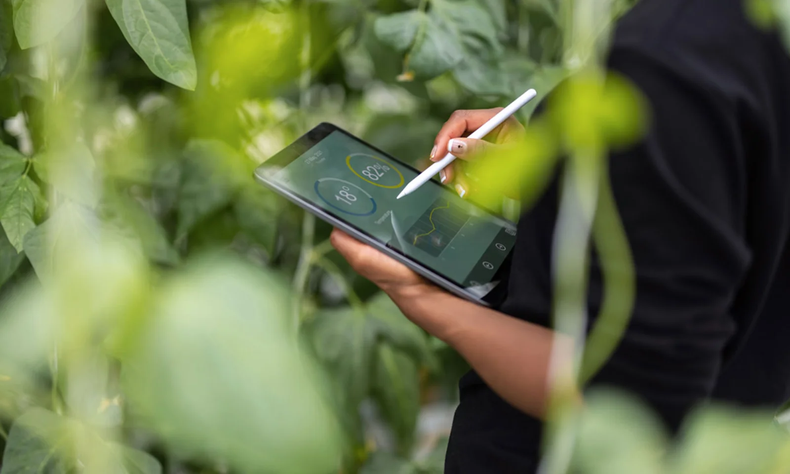 A person using a tablet to monitor environmental metrics in a lush agricultural setting, representing ESG performance