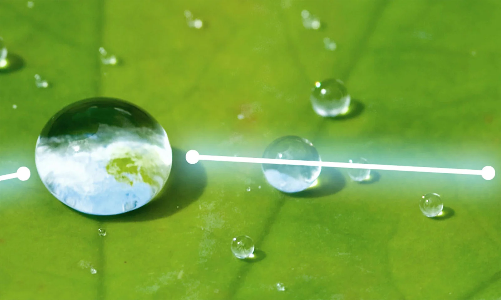 Close de gotas de água em uma folha verde, com uma gota refletindo a Terra e conectada por uma linha brilhante, simbolizando o segundo passo no processo de ligações verdes.